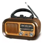 Radio Retro Fm Am Sw Bluetooth Rv109bt Con Altavoz Inalámbrico Con Bluetooth Envio Gratis