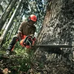 Motosierra Husqvarna 390 Xp Equipada Para Cortar Con Espadas Más Largas Envió Gratis - Imagen 2